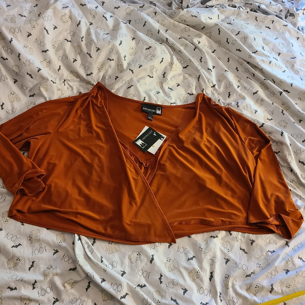 Women's Rust Orange Top Nwt.